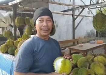 Musim Durian di Tanggamus, Libur Nataru Berkesan dan Tingkatkan Omzet Pedagang