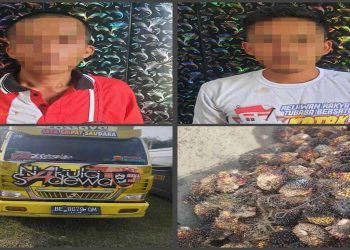 Ungkap Kasus Curat, Satreskrim Polres Tulang Bawang Barat Amankan Dua Orang Pelaku