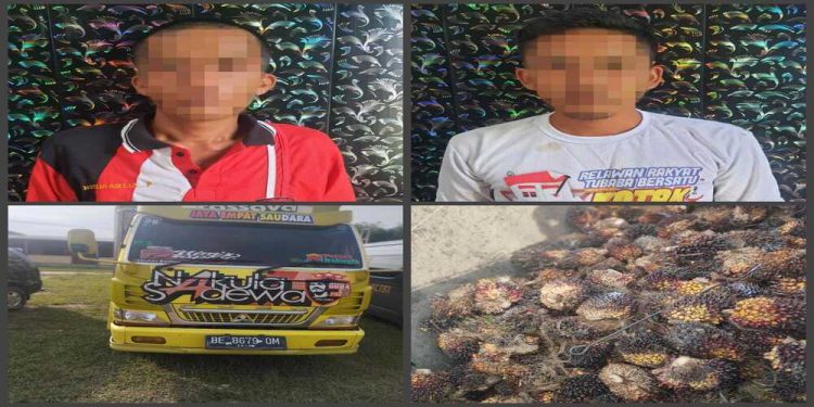 Ungkap Kasus Curat, Satreskrim Polres Tulang Bawang Barat Amankan Dua Orang Pelaku