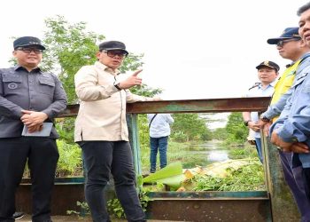 Tinjau Irigasi di Banyuasin, Wamendagri Bima Arya Tegaskan Pentingnya Perbaikan Irigasi untuk Tingkatkan Hasil Panen