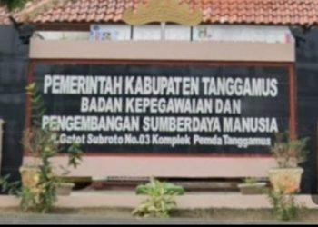 Pemkab Tanggamus Hapus Status Honorer Di Tahun 2025