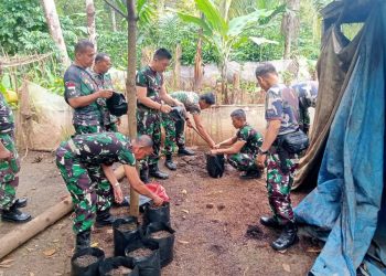 Dukung Program Ketahan Pangan Prajurit Koramil 412-10 Tanjung Raja Lomba Demontrasi Plot.