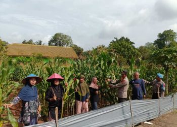 Bhabinkamtibmas Polres Lampung Utara Laksanakan Pengecekan Program Ketahanan Pangan Bergizi