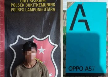 Curi Dua Unit Hp Dan Uang Milik Korban, Pemuda Di Abung Tinggi Diringkus Polisi