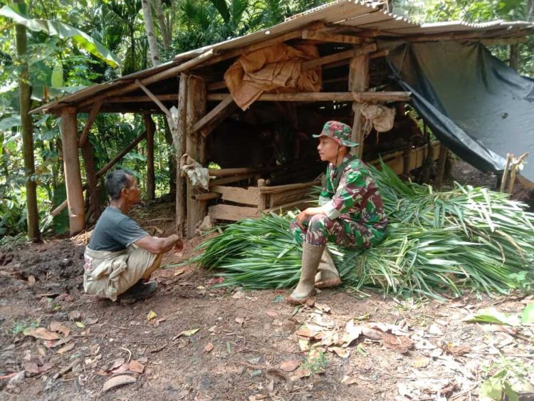 Disela-sela istirahat Anggota Satgas TMMD ke-123 Kodim 0412/LU Komsos Dengan Peternak Sapi.