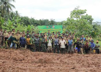 Satgas TMMD ke 123 Kodim 0412/LU Bersama Masyarakat Dan Anak Sekolah Tanam Ratusan Pohon.