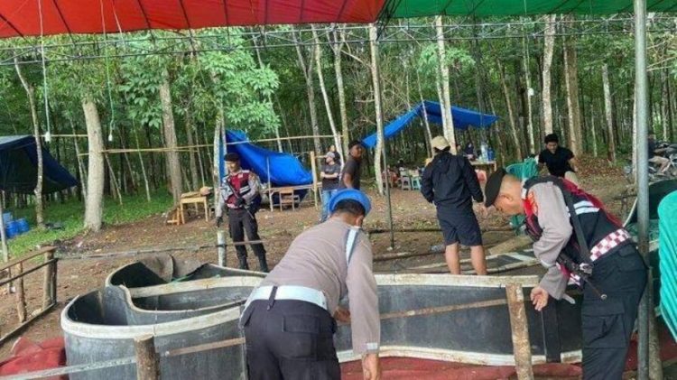 Polri Dan TNI Gelar Olah TKP Bersama di Lokasi Sabung Ayam Way Kanan