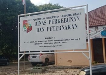 RESPON CEPAT DINAS PETERNAKAN LAMPURA  ADANYA PEMBERITAAN BANTUAN KAMBING DI DESA KEDATON.