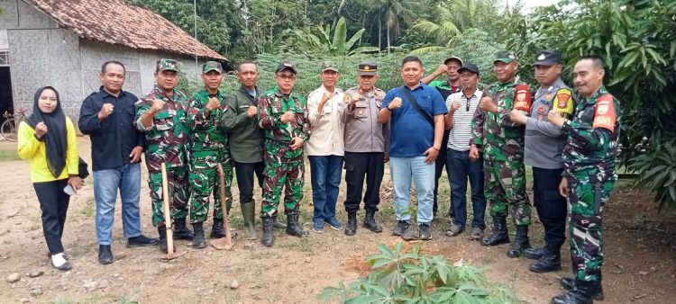 Camat Dan Kades Kembang Tanjung Apresiasi Gapoktan Bagikan Ratusan Bibit Kakao Secara mandiri ke warga 