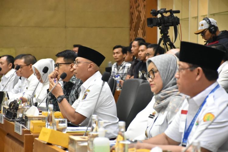 Ke DPR RI, Gubernur Mirza Perjuangkan Aspirasi Petani Singkong Lampung