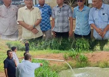 Keren! Pabrik Singkong di Margorejo Kembangkan Energi Terbarukan