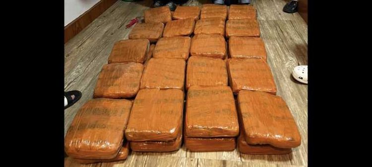 Polda Lampung Gagalkan Penyelundupan 40 Kg Ganja, Kurir Asal Padang Ditangkap