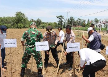 Dukung Swasembada Pangan, Polres Lampung Utara Gelar Penanaman Jagung Serentak Kuartal IV 