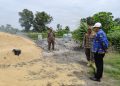 Satpol PP dan Camat Metro Utara Datangi Lokasi Usaha Pembakaran Sekam, Cari Solusi untuk Mengurangi Dampak Lingkungan