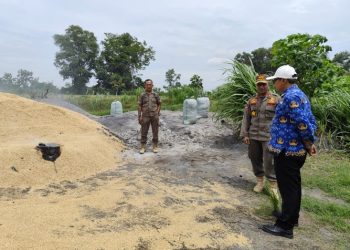 Satpol PP dan Camat Metro Utara Datangi Lokasi Usaha Pembakaran Sekam, Cari Solusi untuk Mengurangi Dampak Lingkungan