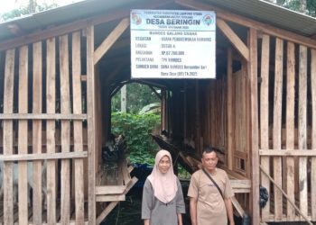 Penggemukan Kambing Dan Ternak Lele, Fokus Pengembangan Bumdes Galang Usaha Di Desa Beringin 