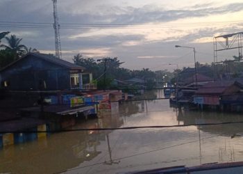Masyarakat Desa Tanjung Pura Terancam Mati Kelaparan