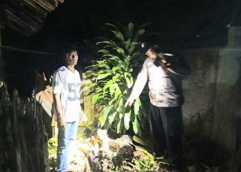 Dengar Suara Tangisan ,Warga Sumberejo Tanggamus Temukan Bayi Dalam Lubang