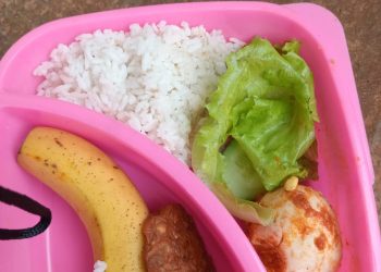 Pengawasan Dinilai Krusial dalam Pelaksanaan Program Makan Bergizi Gratis