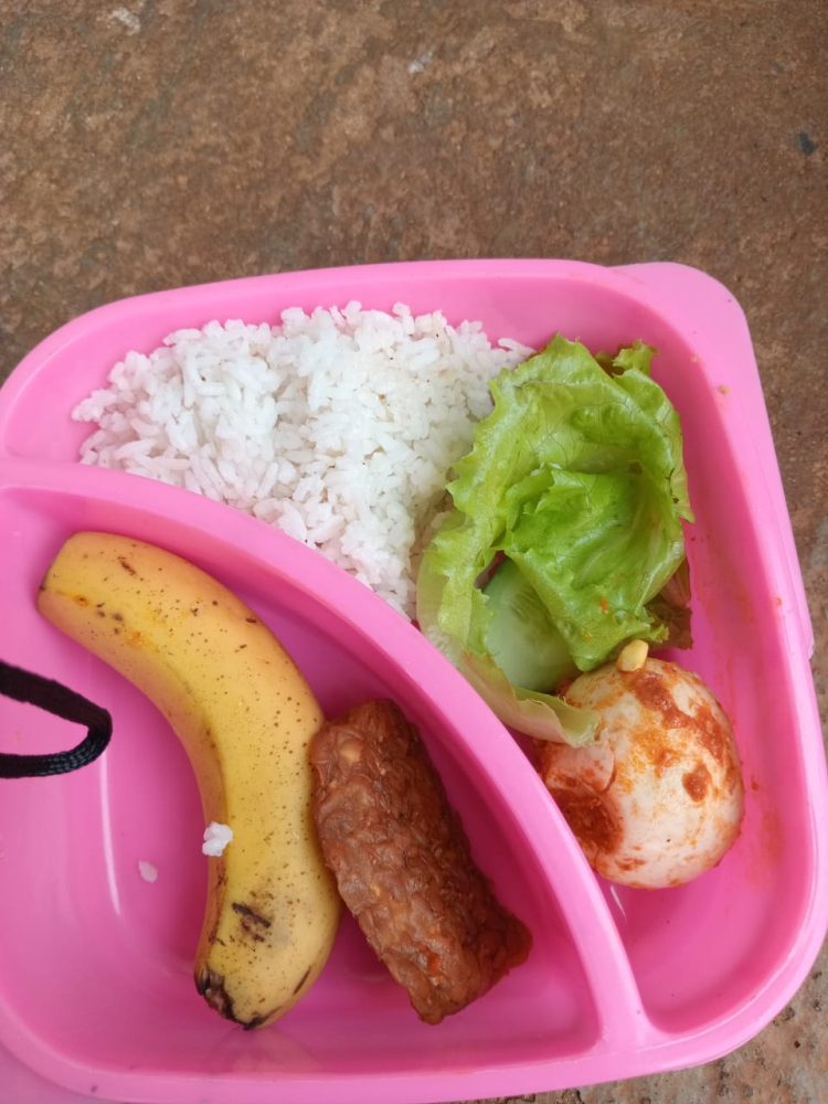 Pengawasan Dinilai Krusial dalam Pelaksanaan Program Makan Bergizi Gratis