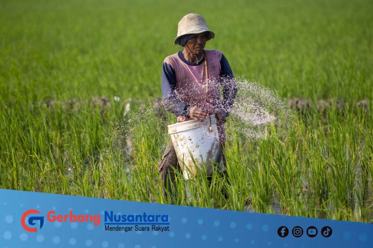 Pupuk Subsidi yang Tak Sampai ke Sawah
