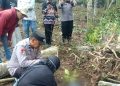 Polisi Pastikan Tidak Ada Unsur Pidana dalam Peristiwa Warga Tertimpa Pohon di Tanggamus