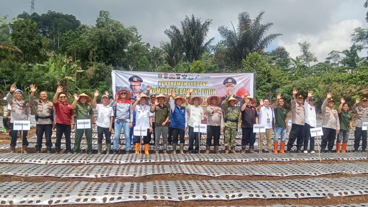 Polres Tanggamus Tanam Bawang Putih, Strategi Unik Polisi Jaga Ketahanan Pangan Nasional