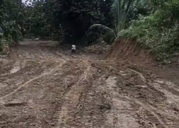 Delapan Pekon di Pematang Sawa Masih Terisolasi, Bentang Wilayah Hampir 100 Km² Belum Tersentuh Jalan Layak
