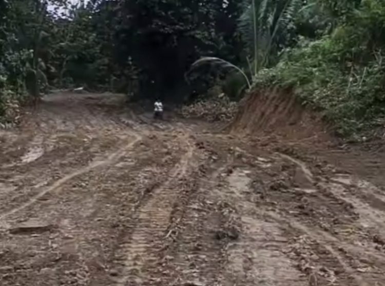 Delapan Pekon di Pematang Sawa Masih Terisolasi, Bentang Wilayah Hampir 100 Km² Belum Tersentuh Jalan Layak