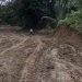Delapan Pekon di Pematang Sawa Masih Terisolasi, Bentang Wilayah Hampir 100 Km² Belum Tersentuh Jalan Layak