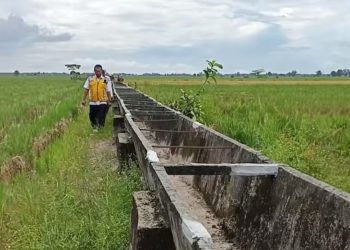 Proyek Irigasi Rp97,8 Miliar di Mesuji Disorot, Kejati Lampung Usut Dugaan Korupsi