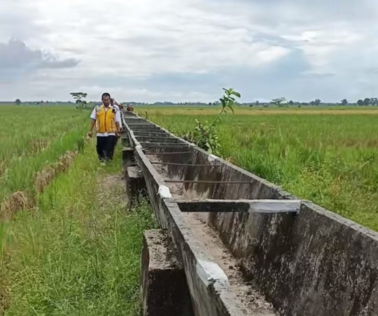 Proyek Irigasi Rp97,8 Miliar di Mesuji Disorot, Kejati Lampung Usut Dugaan Korupsi